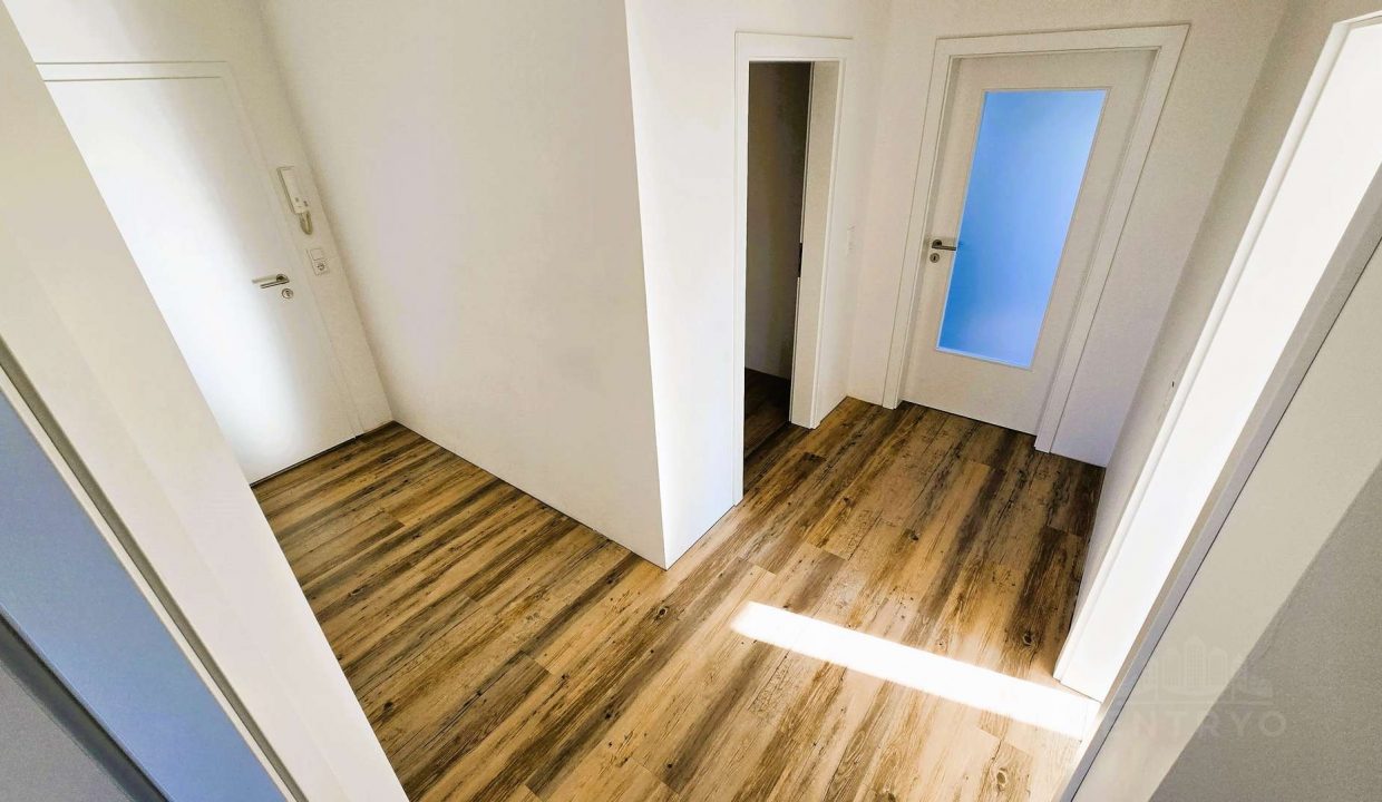 2624869-ar1JxdXHGGHtxR1RD65jXQrv-20241024_150226