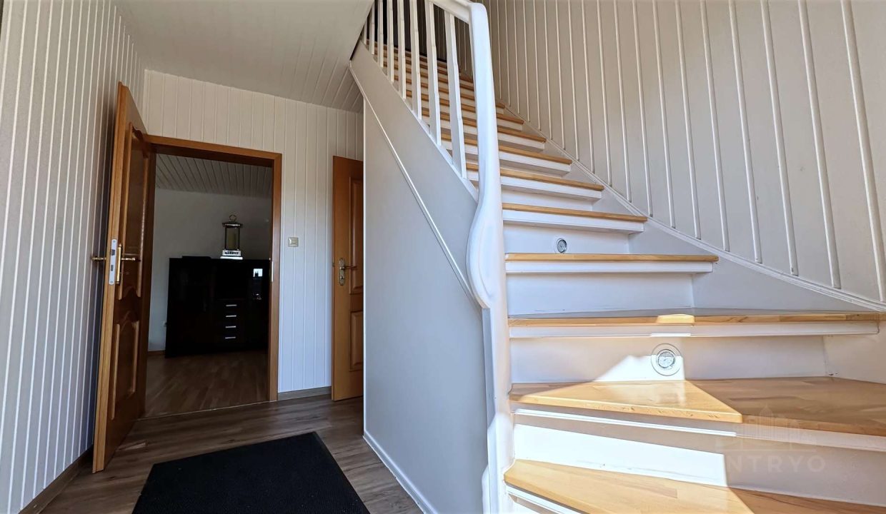 4017613-R9VzY8KNvfTorkWL7mwmasDh-Bilderauswahl_7