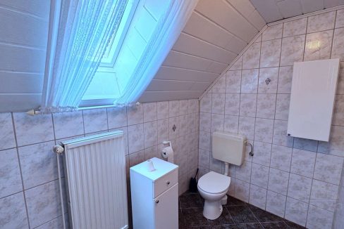 4017613-vKcKXyaBvFxpdyixAv4S6Y75-Bilderauswahl_20